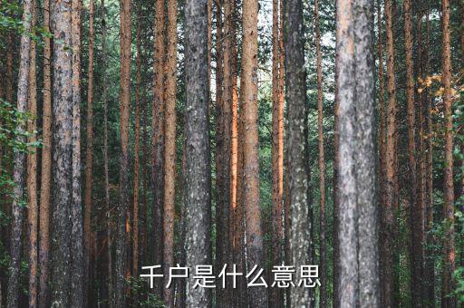 千戶(hù)是什么意思