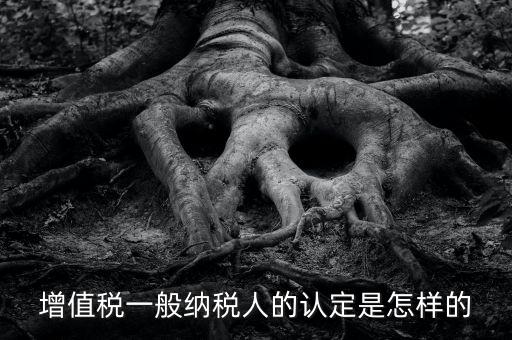 一般納稅人認(rèn)證是什么，一般納稅人資格證什么
