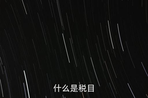 什么是稅法 文化，中華人民共和國(guó)地稅法