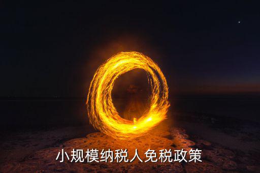 小規(guī)模納稅人免什么稅，小規(guī)模公司開發(fā)票3萬以下免稅 免什么稅還需要別的發(fā)票來抵扣嗎