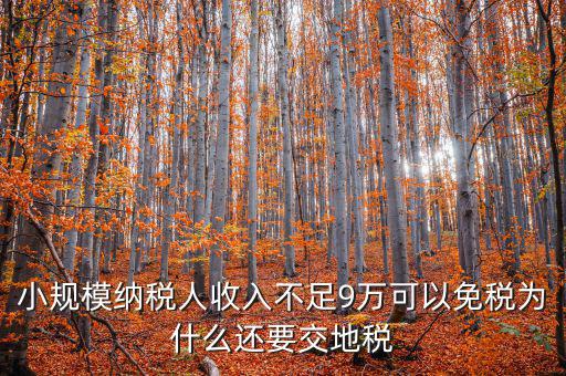 為什么納地稅，為什么要規(guī)定納稅地點