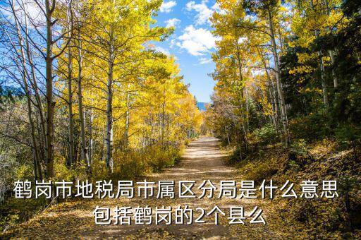 片區(qū)稅務(wù)分局是什么，陽(yáng)宗海片區(qū)屬于哪個(gè)稅務(wù)局
