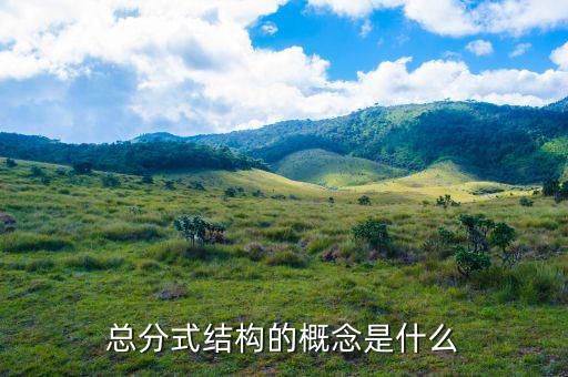 總分機構(gòu)標(biāo)志是什么意思，總分機構(gòu)納稅人是什么意思