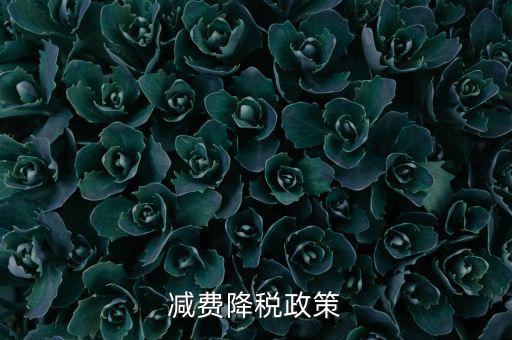 做好6項減稅政策的內(nèi)容是什么，減費(fèi)降稅政策