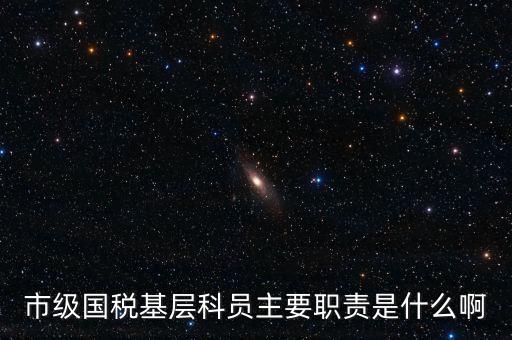 基層國稅辦公室做什么，請問國稅局基層分局科員縣域主要負責什么工作