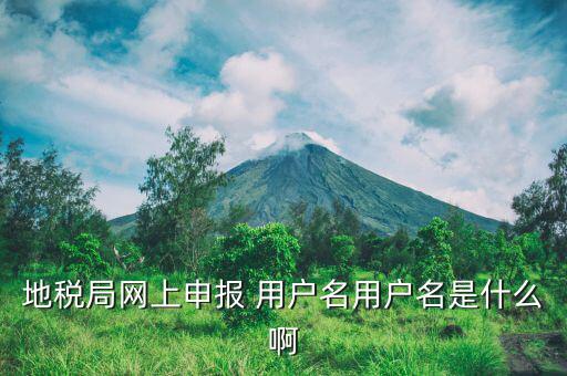地稅注冊(cè)用戶名是什么意思，地稅的用戶名是什么