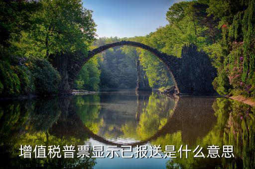 什么是報(bào)送報(bào)告，什么是報(bào)送審計(jì)
