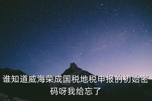 申報地稅的密碼是什么，徐州地稅網(wǎng)上申報的初始密碼是多少啊