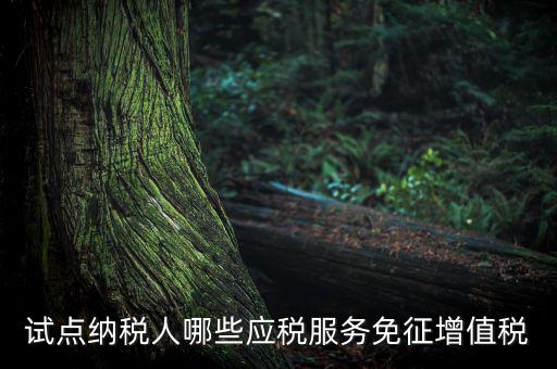 家政服務(wù)免增值稅什么業(yè)務(wù)免，家政服務(wù)企業(yè)的什么收入可以免征增值稅