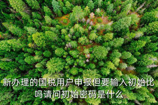 初始申報密碼是什么，小關(guān)稅務(wù)所 新企業(yè) 網(wǎng)上納稅申報初始密碼是什么