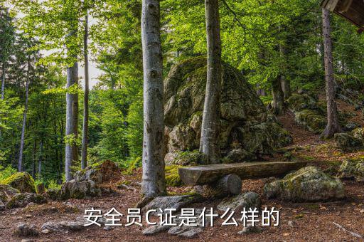 數(shù)字人事是什么樣的，數(shù)字人事是什么