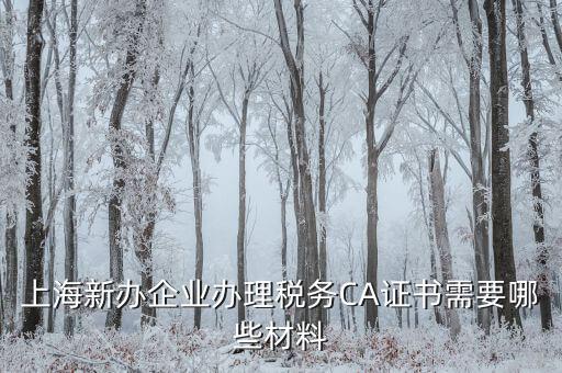 上海新辦企業(yè)辦理稅務(wù)CA證書(shū)需要哪些材料