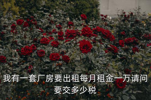 個人租廠房要交什么稅，我有一套廠房要出租每月租金一萬請問要交多少稅