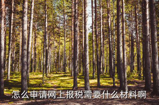 怎么申請網上報稅需要什么材料啊