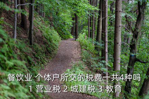 個(gè)體餐飲業(yè)交什么稅，餐飲業(yè) 個(gè)體戶所交的稅費(fèi)一共4種嗎 1 營(yíng)業(yè)稅 2 城建稅 3 教育