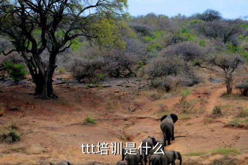 納稅人學(xué)堂培訓(xùn)干什么，去各種培訓(xùn)班做老師有前途么