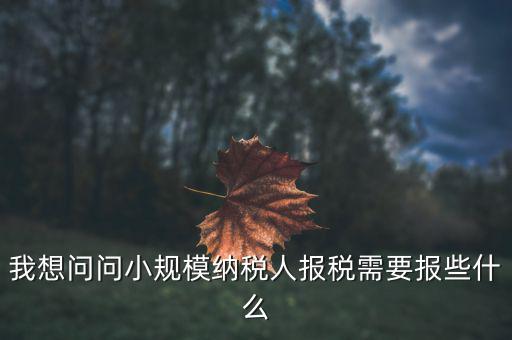 小規(guī)模國稅申報些什么，小規(guī)模納稅人國稅需要報什么資料