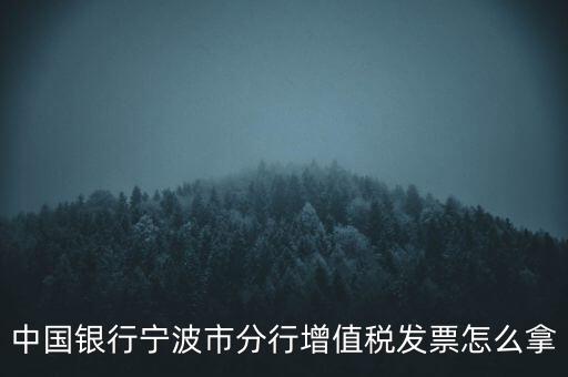 寧波國稅過發(fā)票要帶什么，浙江地區(qū)公司首次拿發(fā)票去國稅局需要帶什么證件