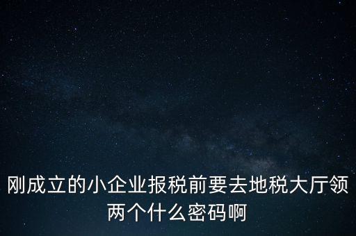 繳稅服務(wù)廳口令輸什么，剛成立的小企業(yè)報(bào)稅前要去地稅大廳領(lǐng)兩個(gè)什么密碼啊