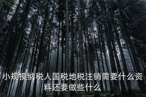 國地稅注銷需要什么，小規(guī)摸納稅人國稅地稅注銷需要什么資料還要做些什么