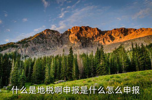 深圳市的地稅申報(bào)是什么意思，地稅申報(bào)是怎么回事