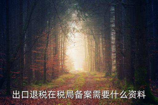 出口退稅備份什么格式，出口退稅單證備案