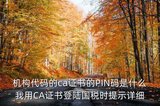 國稅ca證書登錄 密碼是什么，國稅第一次網(wǎng)上申報(bào)的登陸密碼是什么