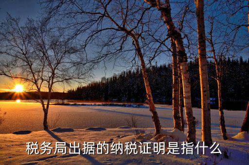 什么是稅收證明，什么是個(gè)人納稅證明