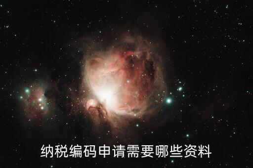 預約繳稅號需提供什么資料，納稅編碼申請需要哪些資料