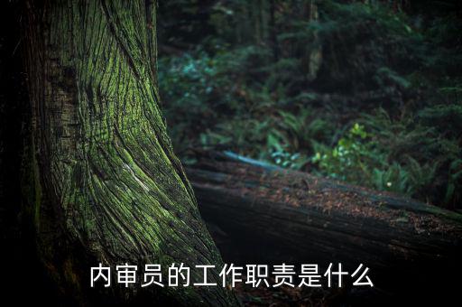 督察內(nèi)審是什么工作，內(nèi)審監(jiān)察主要工作職能