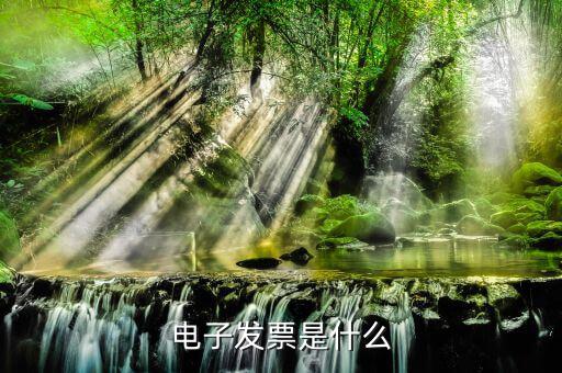 電子發(fā)票單位是什么樣的，什么叫電子發(fā)票