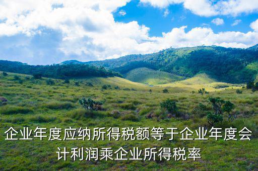 應(yīng)納稅所得額等于什么，什么是應(yīng)納稅所得額