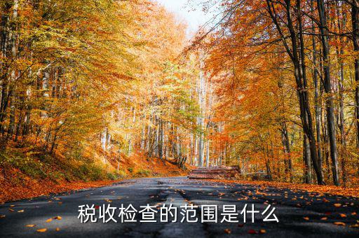 在地稅局需要檢查什么地方，稅務(wù)年檢是什么地方的來檢查