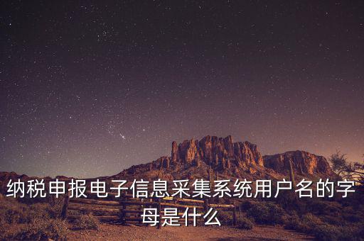 納稅人用戶編號是什么，地稅的用戶名是什么