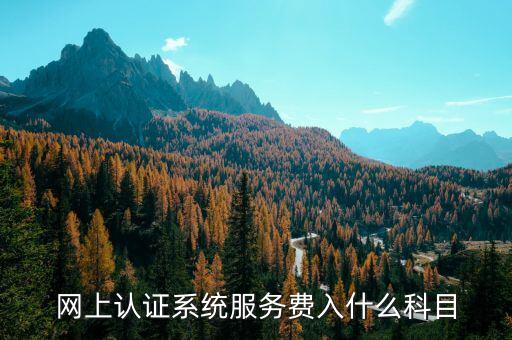 網(wǎng)上認證服務費是什么，網(wǎng)上認證系統(tǒng)服務費入什么科目