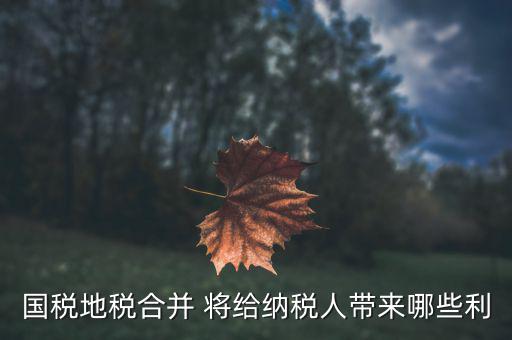 國地稅合作給地方帶來什么，國地稅合并后將帶來哪些變化對于財務工作人員有哪些便利  搜