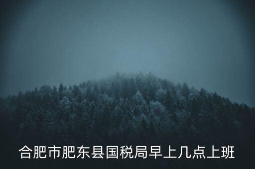 安徽國(guó)稅什么時(shí)候上班時(shí)間，國(guó)稅局的上班時(shí)間