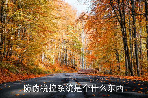防偽稅控一體化什么時(shí)候，營(yíng)改增后漢字防偽企業(yè)抄報(bào)稅時(shí)需要使用什么設(shè)備