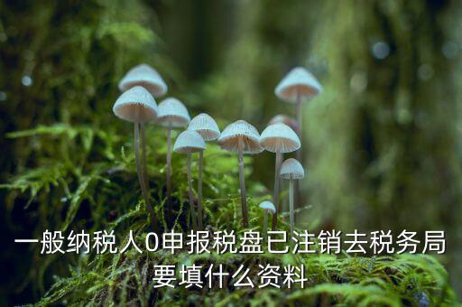 注銷金稅盤需要帶什么資料，請(qǐng)問(wèn)注銷稅務(wù)登記需要提供哪些資料