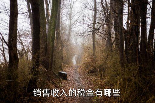 銷售交什么稅，銷售收入的稅金有哪些