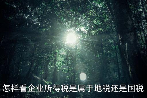 所得稅屬于什么稅，所得稅包括什么稅
