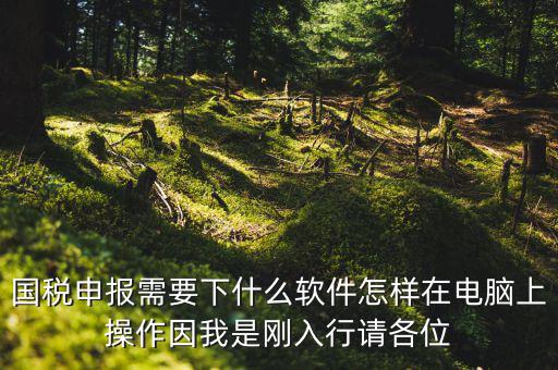 寶雞國(guó)稅用的什么軟件報(bào)稅，寶雞報(bào)稅怎么報(bào)