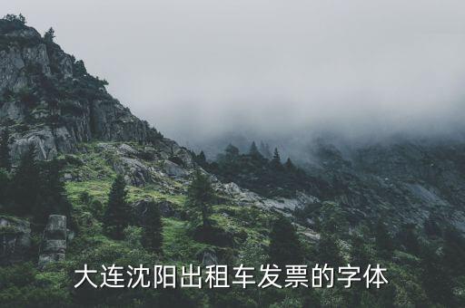 大連停車場(chǎng)發(fā)票什么樣，大連增值稅普通發(fā)票真?zhèn)卧趺床樵?/></a></span><span id=