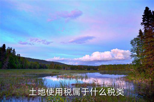 土地使用稅是放在什么類(lèi)別里的，土地使用稅屬于什么稅類(lèi)