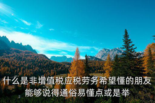 非增值稅應(yīng)稅勞務(wù)什么意思，什么是非增值稅應(yīng)稅勞務(wù)希望懂的朋友能夠說得通俗易懂點或是舉