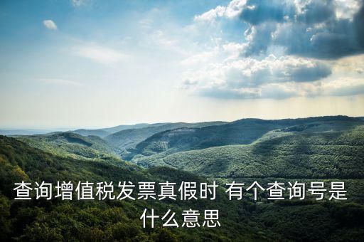 陜西省發(fā)票查詢號是什么意思，電子發(fā)票號碼是什么意思
