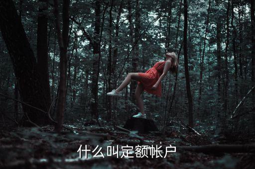 國稅的定期定額戶是什么意思，國稅買票需要定稅或建賬是什么意思