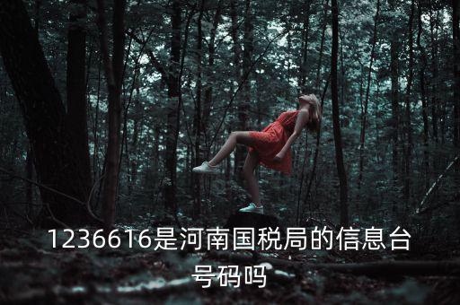 河南省國家稅務(wù)局賬號是什么，登錄國稅網(wǎng)上辦稅服務(wù)廳的用戶名和密碼是什么