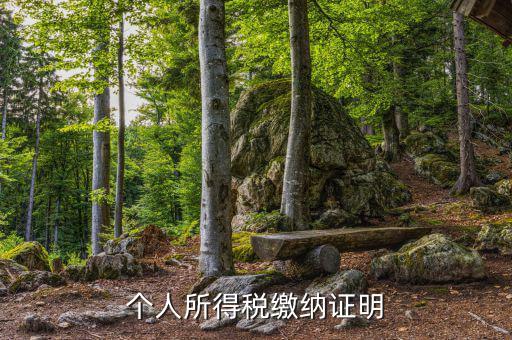 個(gè)人稅務(wù)證明是什么，什么是個(gè)人納稅證明