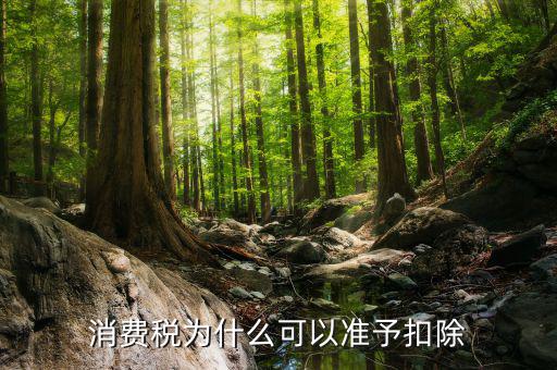 外購(gòu)的汽油柴油消費(fèi)稅為什么可抵扣，cpa稅法中15年真題外購(gòu)汽油90用于公司運(yùn)送旅客可以抵扣90
